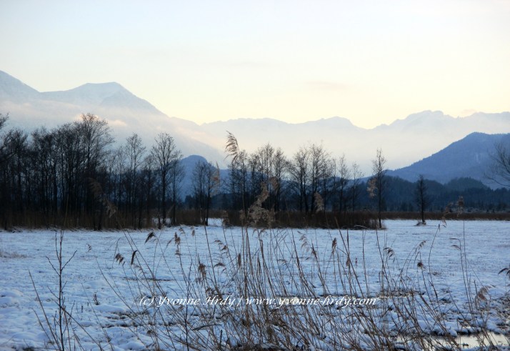 Meditative Stille im Winter